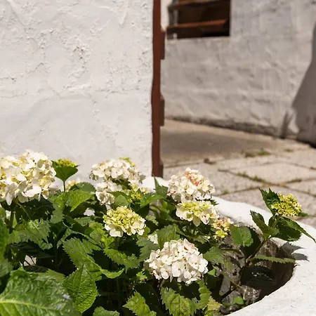 Casa Marisol Holiday home Quartu Sant'Elena