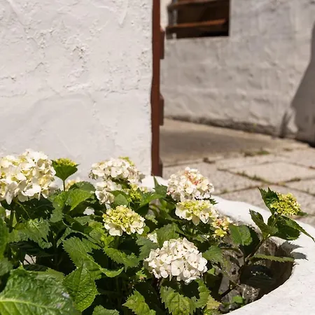 Casa Marisol Vakantiehuis